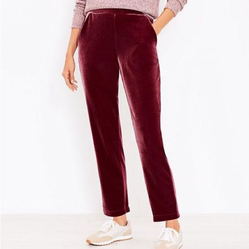 LOFT VELVET PULL ON SLIM PANTS IN MEDIUM